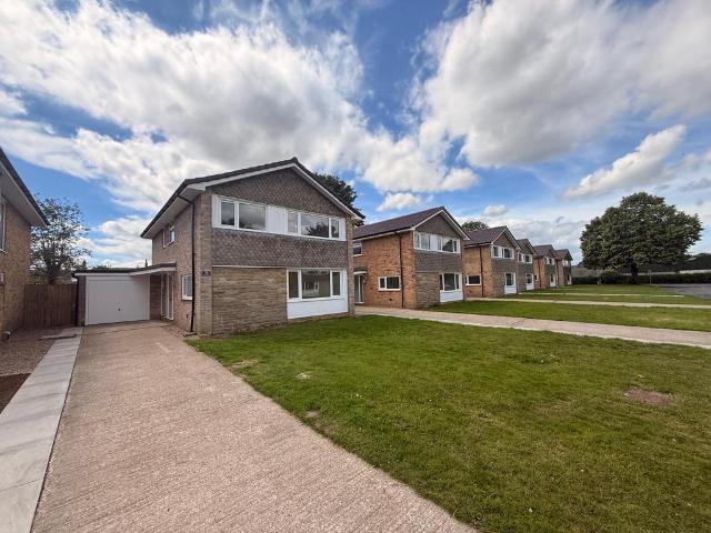 4 bedroom house to rent