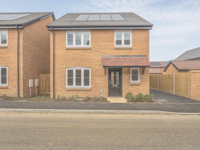 4 bedroom house to rent