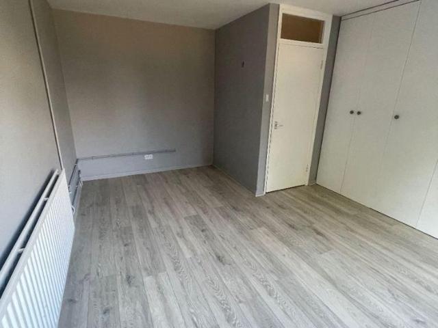 4 bedroom house to rent
