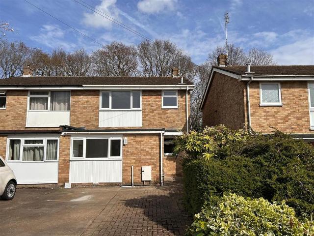 4 bedroom house to rent