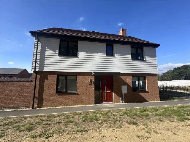 4 bedroom house to rent