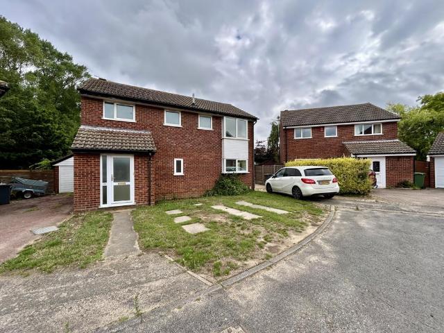 4 bedroom house to rent