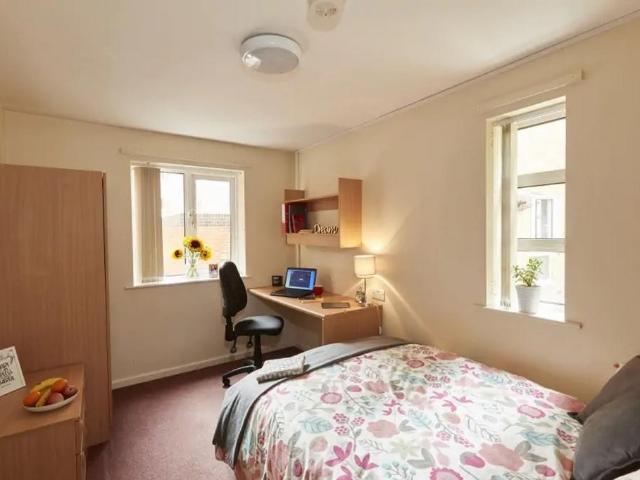 4 bedroom house to rent