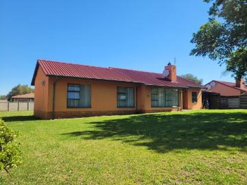 Barry Hertzog Park, Newcastle Local Municipality, Amajuba District Municipality, KwaZulu-Natal