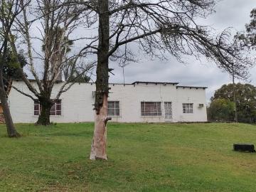 4 Bedroom House To Rent in Driefontein