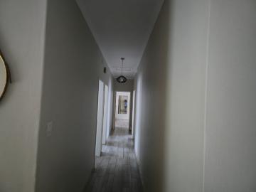 4 Bedroom House To Rent in Lephalale