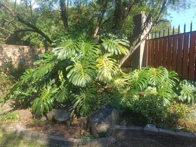4 Bedroom house to rent in Sonheuwel, Nelspruit