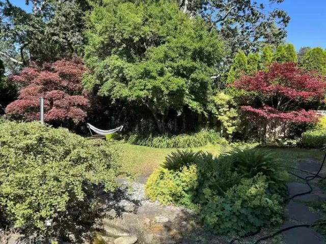 4 Bedroom House Victoria BC 105394706