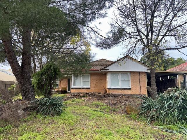 4 Bedroom Home with Large Shed and Yard in Highbury
