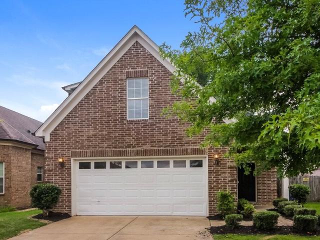 4 Bedroom Home for Rent at 7317 Green Ash Dr, Olive Branch, MS 38654