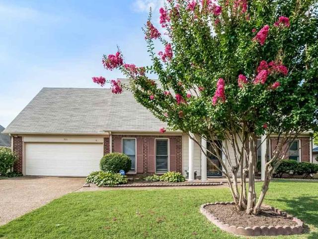 4 Bedroom Home for Rent at 7621 Dexter Manor Dr, Cordova, TN 38016