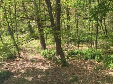 4 Bedroom Home for Rent at 24 Riverside Dr #NA, Ridgefield, CT 06877