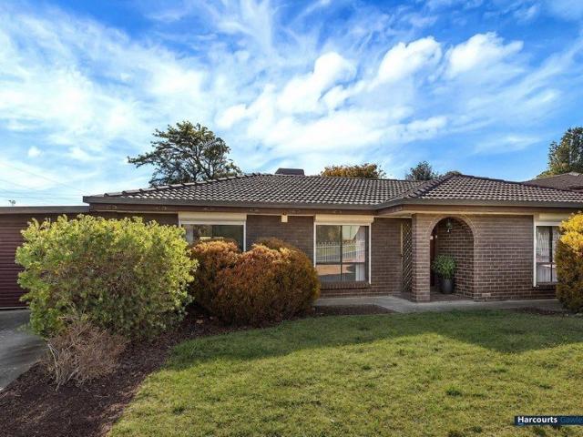 4 Bedroom Home in Prime Location with Solar