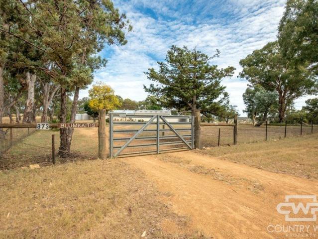 4 Bedroom Home On 1 Hectare With Wellingrove Creek Frontage
