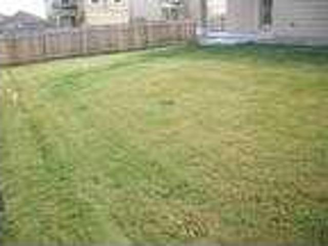 4 Bedroom Homes For Rent Austin TX