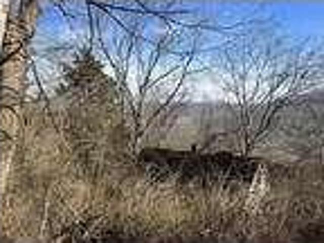 4 bedroom in Hebron KY 41048