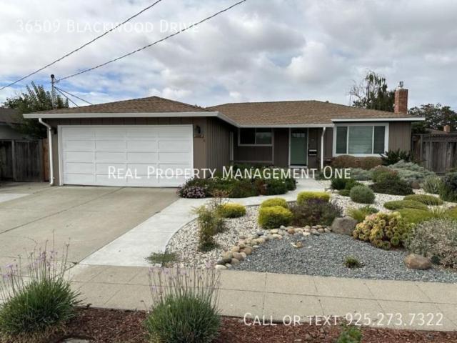 4 bedroom, Newark CA 94560 106163657