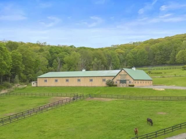 4 bedroom, NY NY 102715678