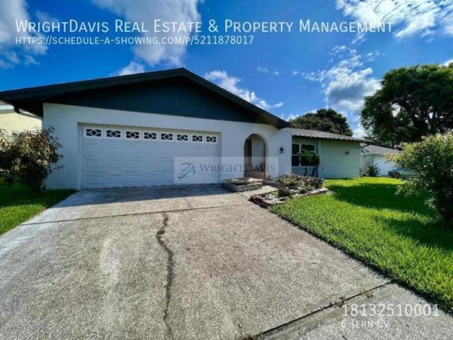 4 bedroom, Safety Harbor FL 34695 106213560