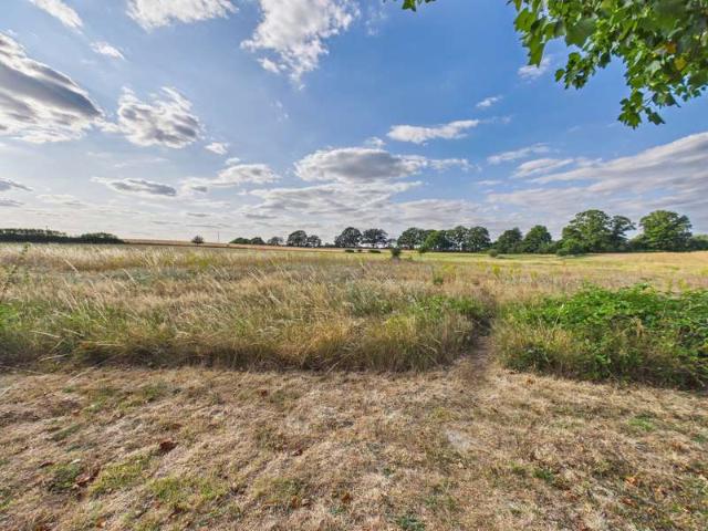 4 Bedroom Semi Detached House