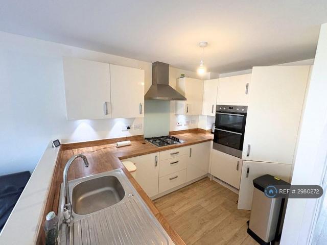 4 bedroom semi detached house to rent