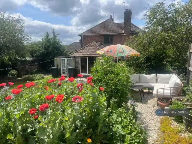 4 bedroom semi detached house for rent in Bruton, Bruton, BA10