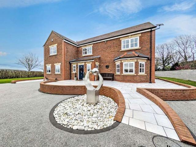 4 Bedroom Studio Flat