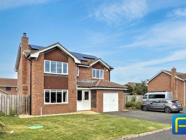 4 Bedroom Studio Flat