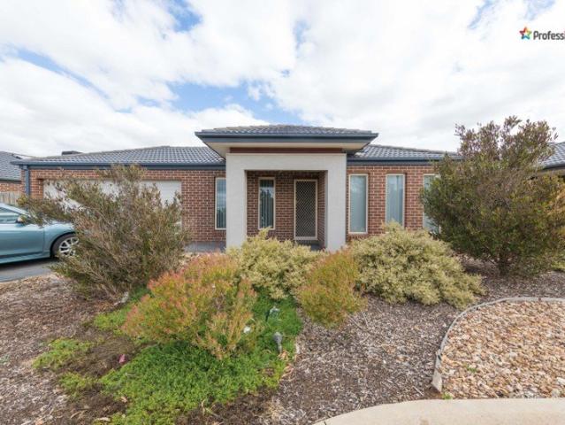 4 Bedroom + Study home
