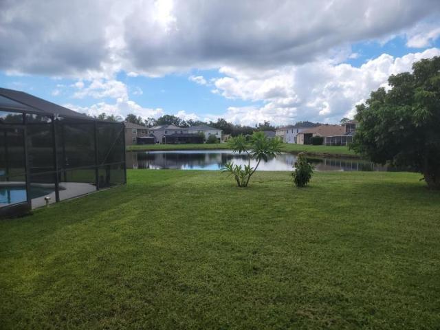 4 bedroom, Tampa FL 33635 105898873