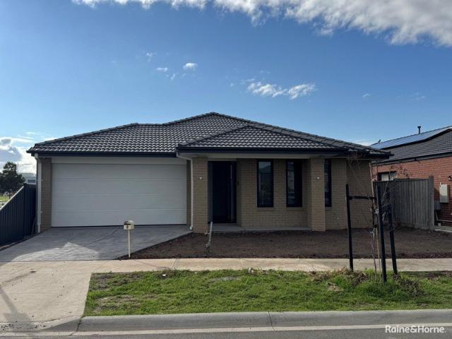 4 BEDROOMS, BRAND NEW AND READY TO MOVE IN TO