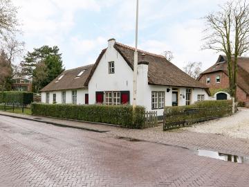 Olland, Meierijstad, Noord-Brabant - Terras