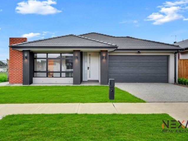 4 Beds Brand New House For Rent