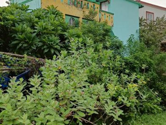 4 BHK Villa in Chandrasekharpur for resale Bhubaneswar. The reference number is 20920671