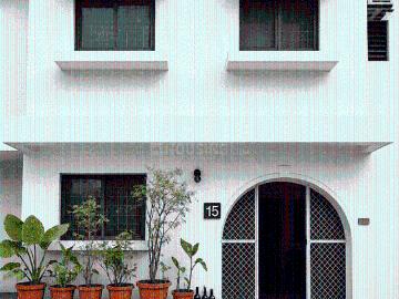 Koregaon Park, Pune, Pune District, Maharashtra