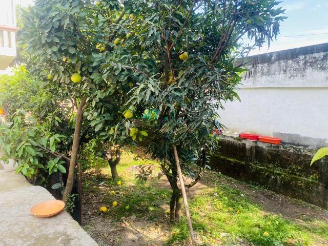 4 BHK Villa in Rajpur for rent Dehradun. The reference number is 13944246