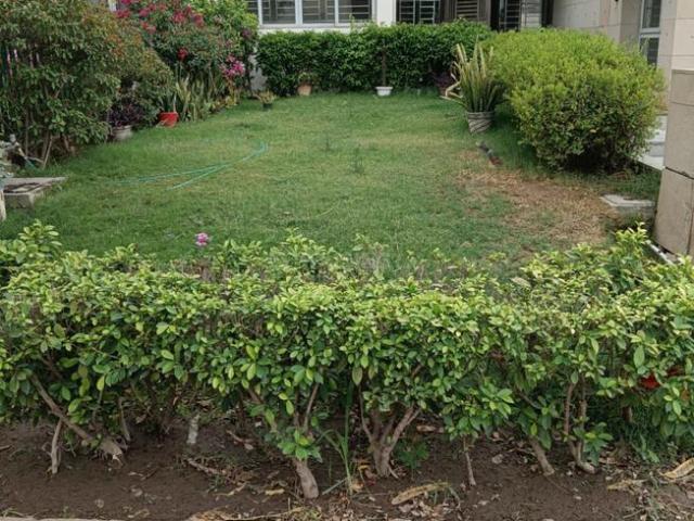 4 BHK Villa in Sector 82 for rent Gurgaon. The reference number is 20638027