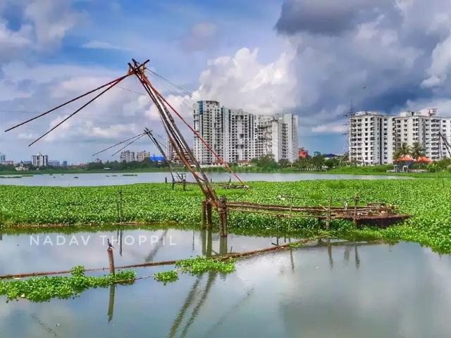 4 BHK Apartment in Chilavannur for resale Kochi. The reference number is 19567985