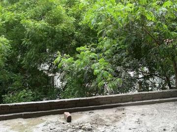4 BHK Apartment in Banjara Hills for resale Hyderabad. The reference number is 20447782