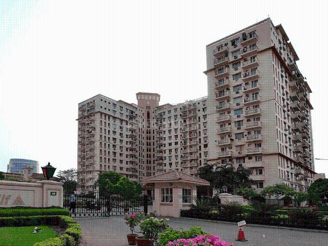 4 BHK Apartment in DLF Phase 2 for rent Gurgaon. The reference number is 20997420
