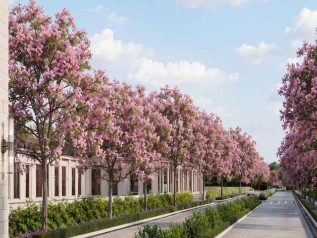 4 BHK Apartment in Meenakunte for resale Bengaluru. The reference number is 21158212