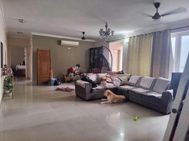 4 BHK Apartment in Sector 37C for rent Gurgaon. The reference number is 21109672