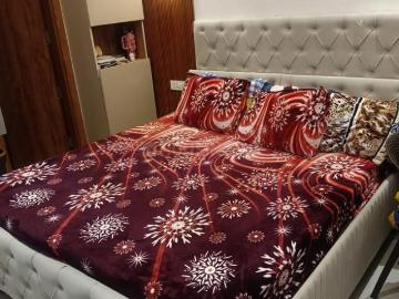 4 BHK Apartment in Sector 49 for resale Chandigarh. The reference number is 19628619