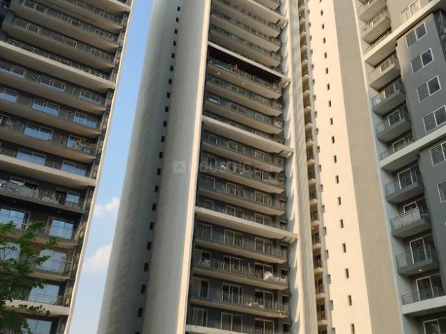 4 BHK Apartment in Sector 43 for rent Noida. The reference number is 19983798