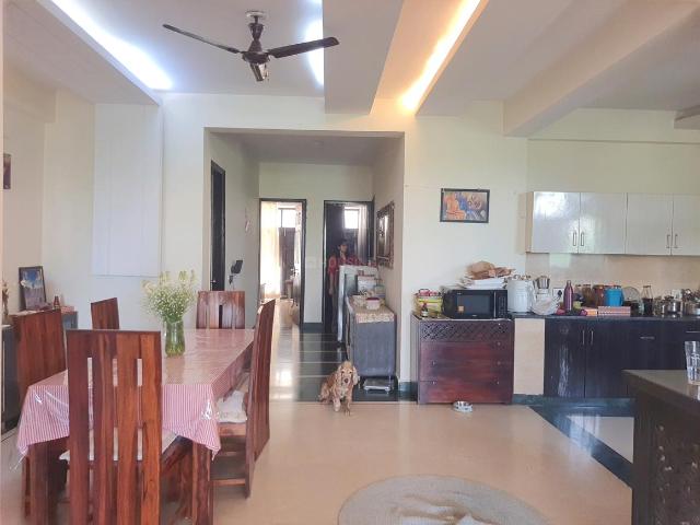 4 BHK Apartment in Sector 52 for resale Gurgaon. The reference number is 19358249