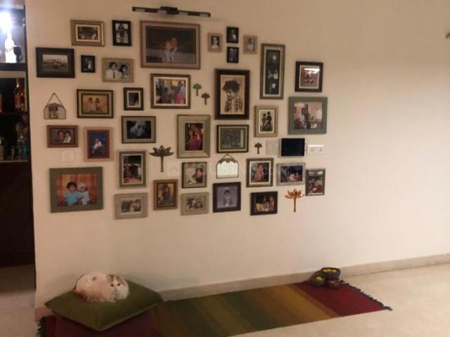 4 BHK Apartment in Whitefield for rent Bengaluru. The reference number is 21169708