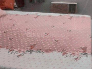 4 BHK Apartment in Uttarpara for resale Hooghly. The reference number is 20555772