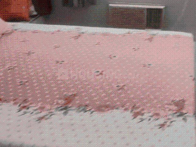 4 BHK Apartment in Uttarpara for resale Hooghly. The reference number is 20555772