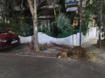 4 BHK Duplex in Banashankari for resale Bengaluru. The reference number is 19741906