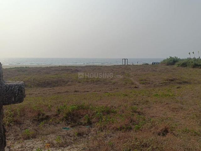 4 BHK Farm House in Morjim for resale Goa. The reference number is 19491273
